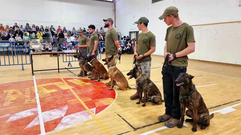 Israel Dog Unit exhibition in Beitar Ilit