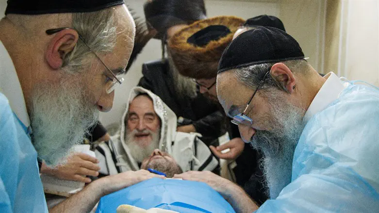 האדמו"ר מויז'ניץ במעמד הברית