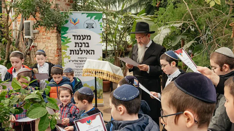 "ברכת האילנות" במוסקבה