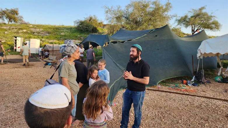 צבי סוכות ברמת ארבל