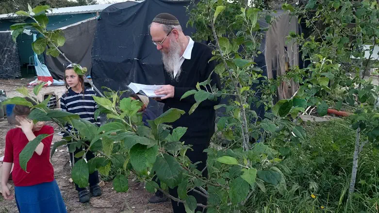 ברכת האילנות בישיבת חומש