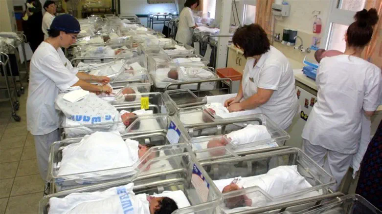 Newborns