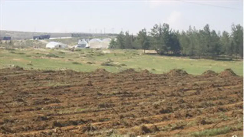 הכרם סמוך לסוסיא