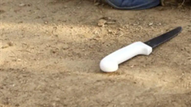 אילוסטרציה