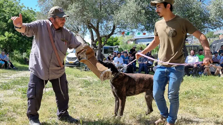 Israel Dog Unit exhibition on Independence Day 
