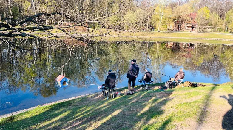 תמונת השבוע שלי: אלו משכימים ואלו משכימים