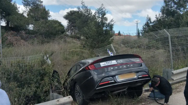 הפעם לא הלך להם