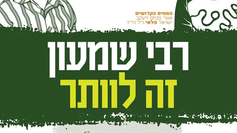 מתוך הקמפיין