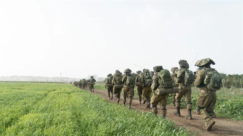 לוחמים. אילוסטרציה