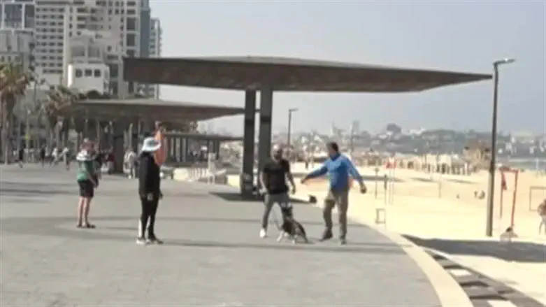 תיעוד התקרית