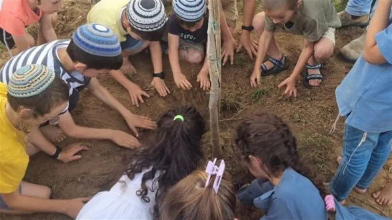 נטיעה על כל נפילה