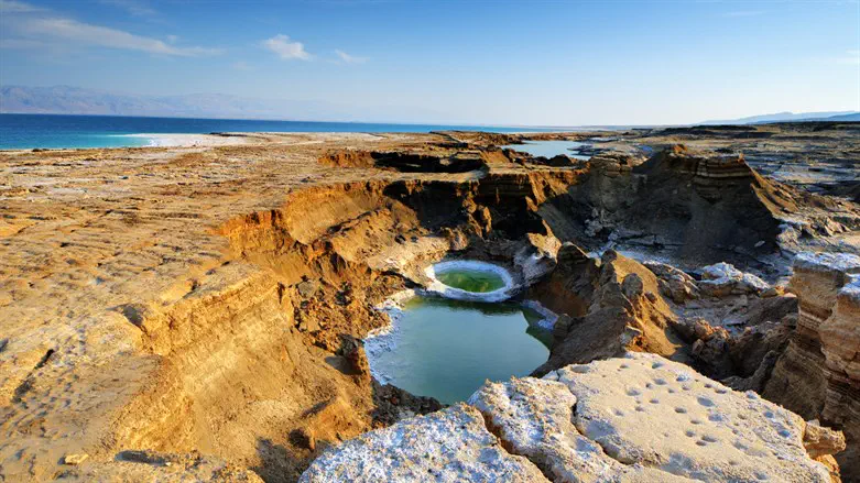 שמורת עין גדי 