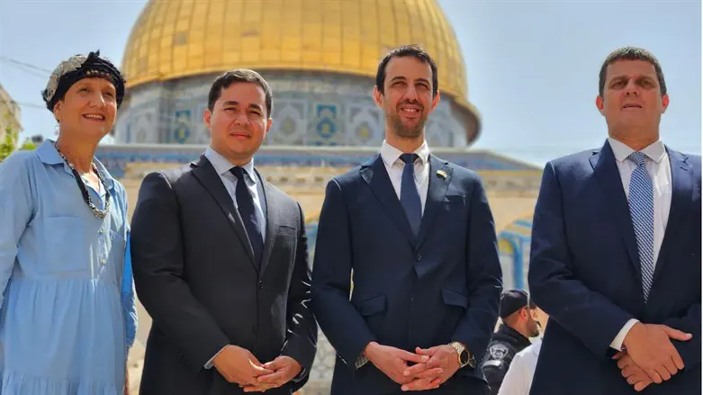 עמית הלוי, אריאל קלנר, דן אילוז, שולי מועלם