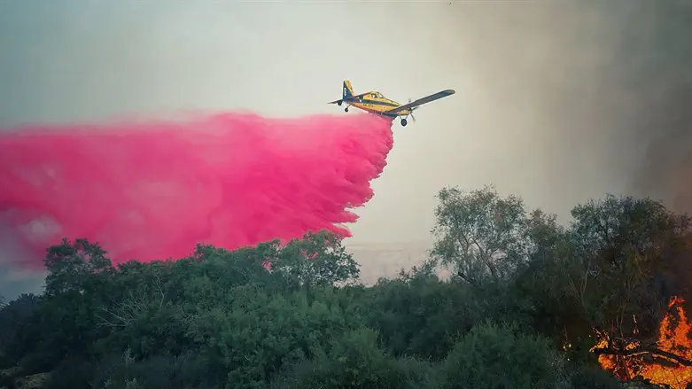 השריפה בסמוך לקיבוץ קליה