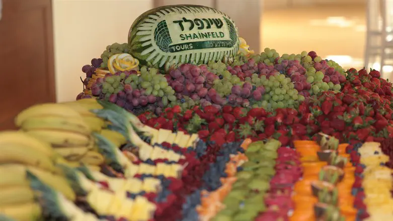 נופש כשר עם שינפלד
