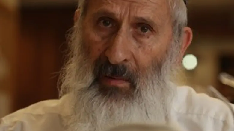 לצאת ולמחות. הרב אבינר