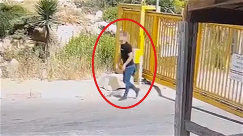 תיעוד המחבל