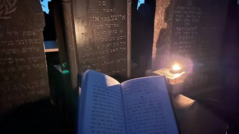 תמונת השבוע שלי: אייגע, ביסט נישט אליין!