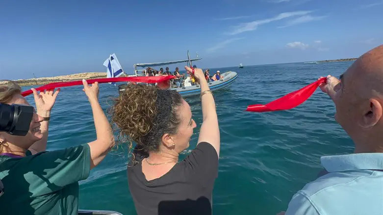 סילמן באירוע ההשקה