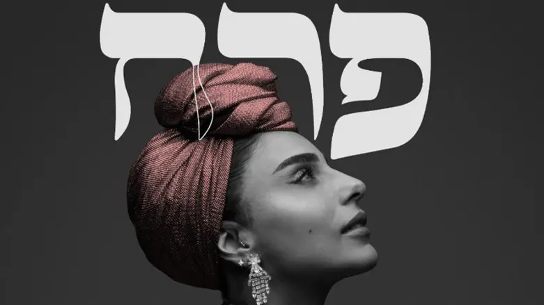 נרקיס