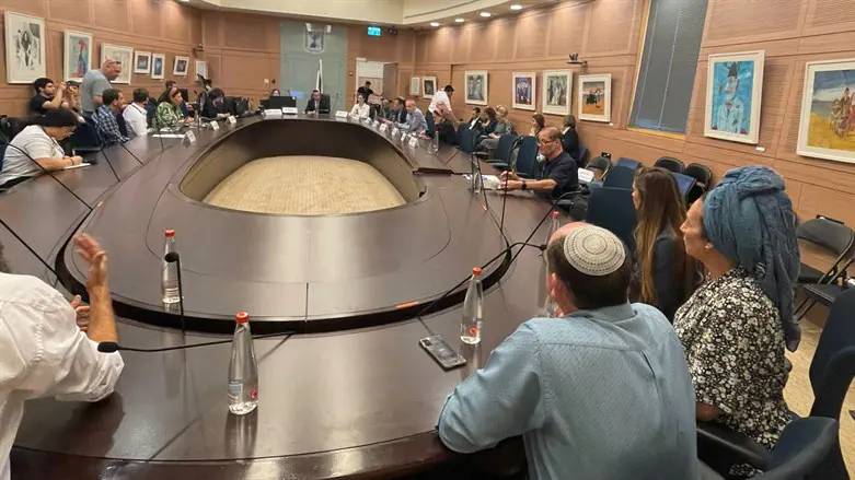בת גלים שער בדיון בכנסת. אתמול