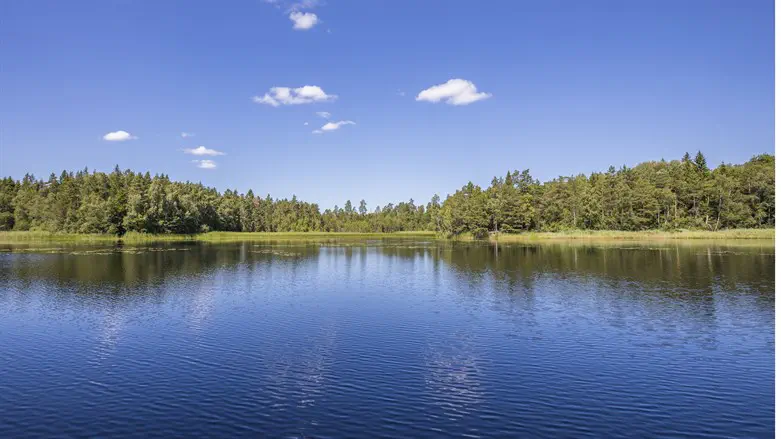 Lake (illustrative)