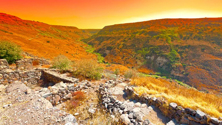 Archaeological site (stock)