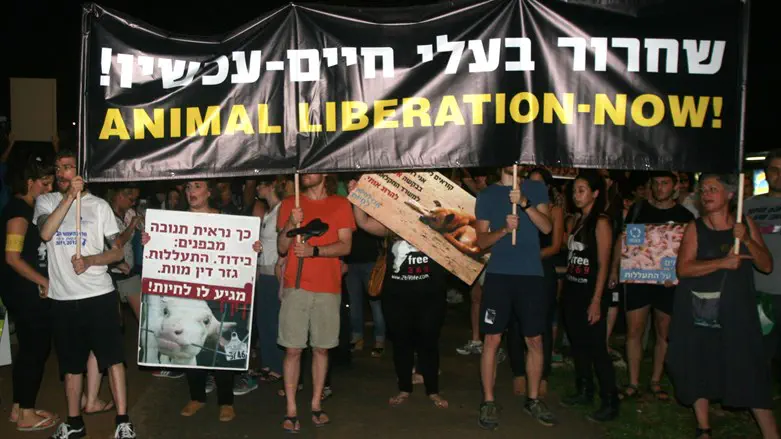 Israeli animal rights activists