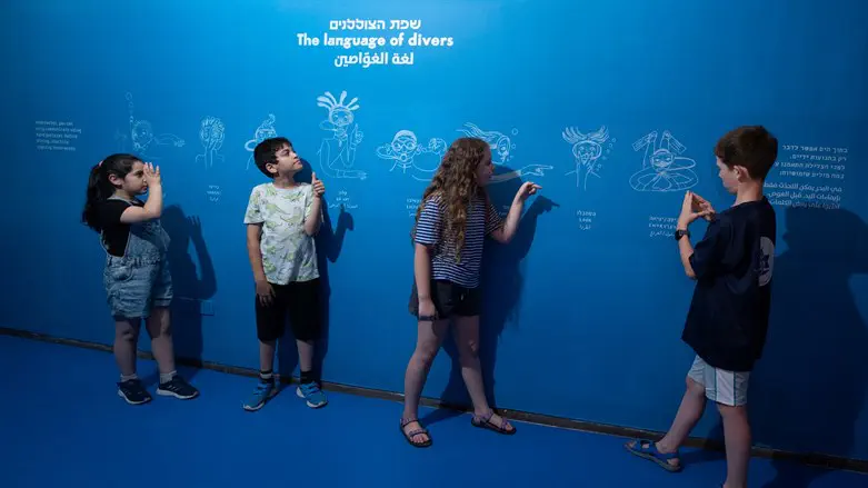 תעלומות במצולות