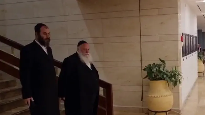 השר גולדקנופף