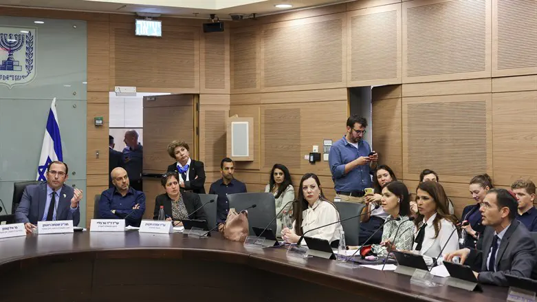 גוטליב בוועדת חוקה