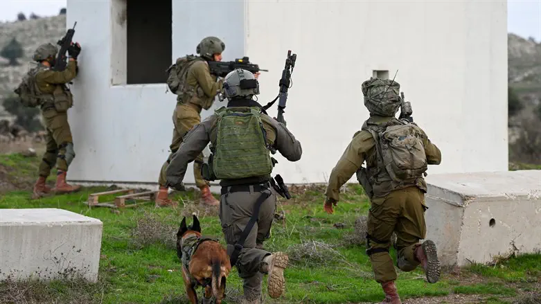 חיילי צה"ל, אילוסטרציה