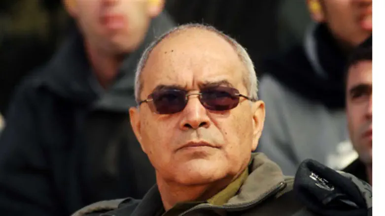 Dan Halutz