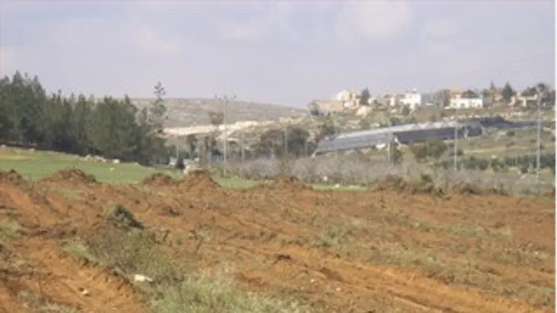 הכרם סמוך לסוסיא