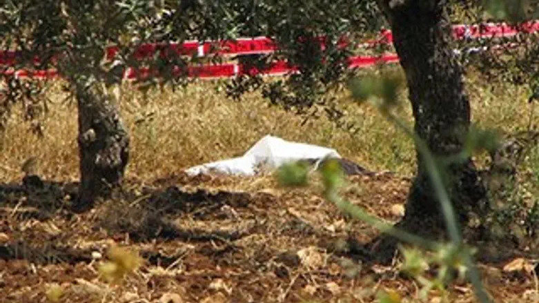 זירת הרצח בעראבה