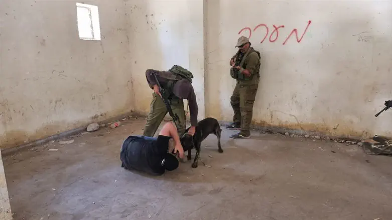Training working dogs to neutralize a terrorist 