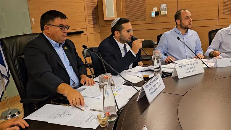 השר וסרלאוף במהלך דיון בוועדה