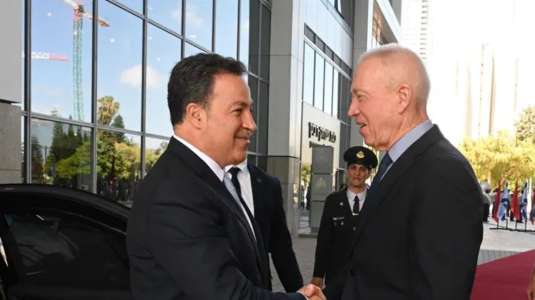 גלנט וניקו פלשי