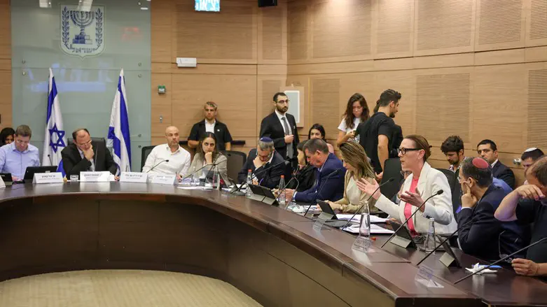 הדיונים בוועדת חוקה