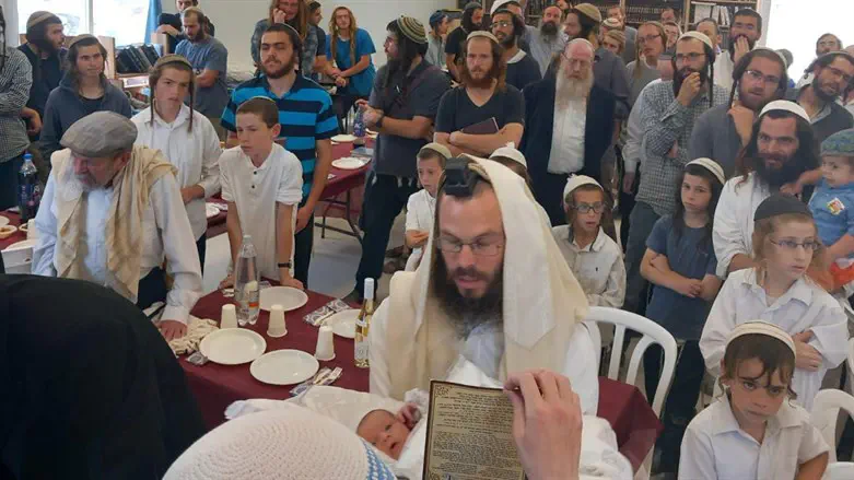 הברית בחומש