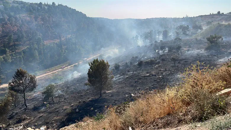השריפה במודיעין