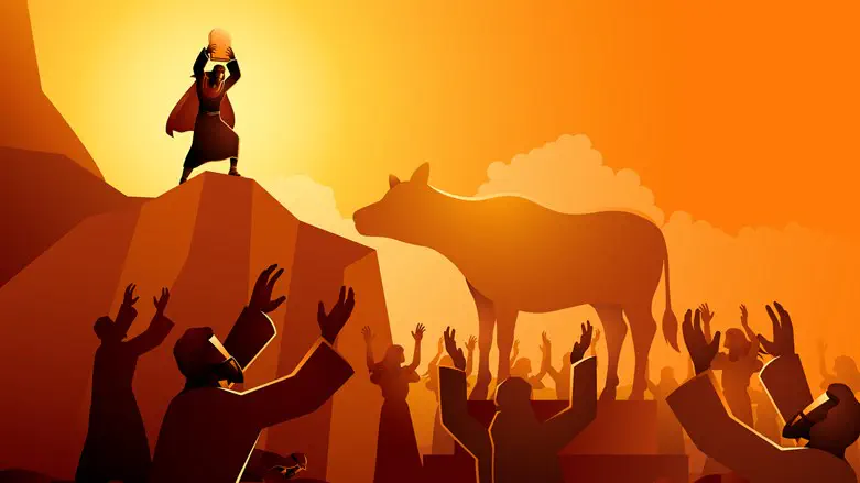 The sin of the Golden Calf