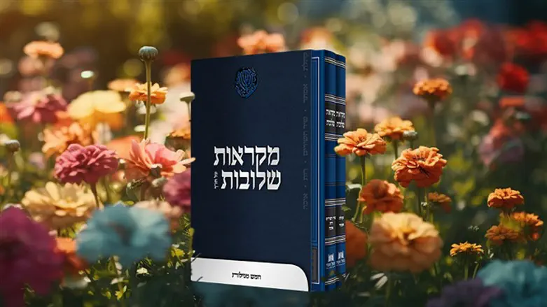 מקראות שלובות על חמש המגילות