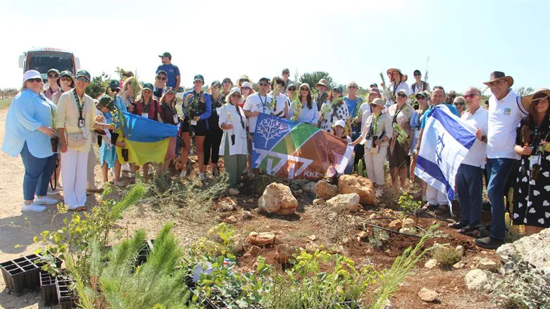 המורים מהתפוצות בנטיעת העצים ביער לביא
