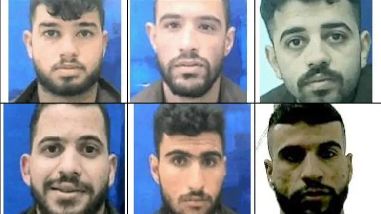 חברי החולייה