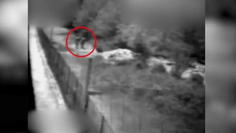 Подозреваемые на ливанской границе