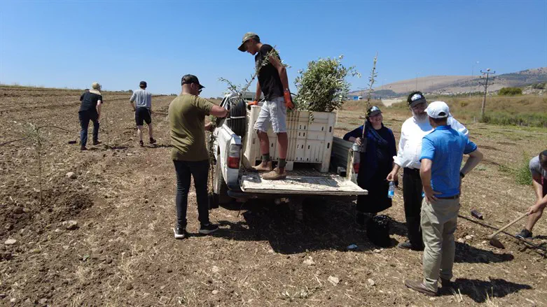 New landowners prepare to plant trees in their plots