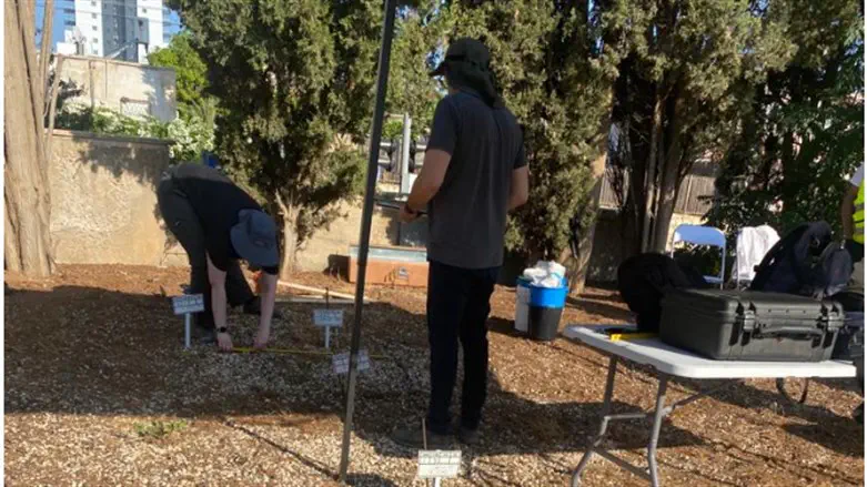 פתיחת הקבר. היום