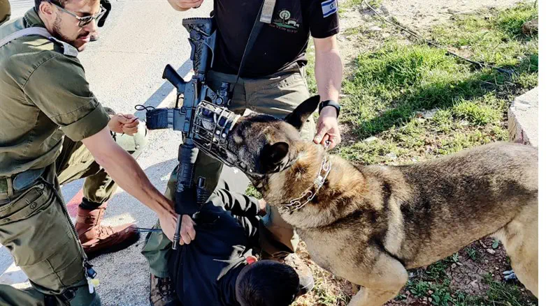 Security dog neutralizes a terrorist