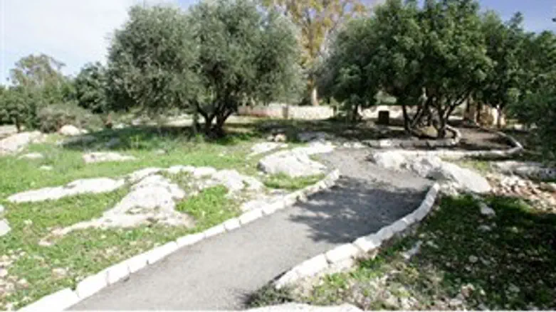 שביל אופניים